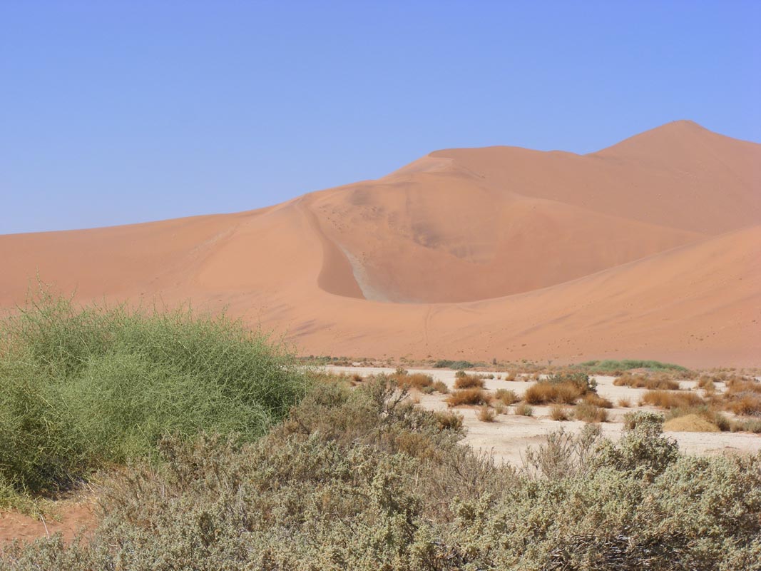 landschaft-sossusvlei-dünen-1